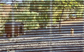 Casita Del Mojino - Terrace & Bbq - Rural Setting